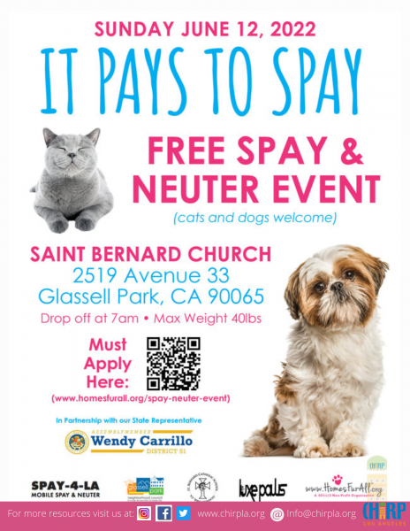 Free spay clearance or neuter